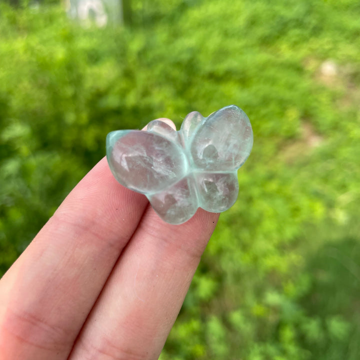 Natural Crystal Fluorite Mini Butterfly Carving