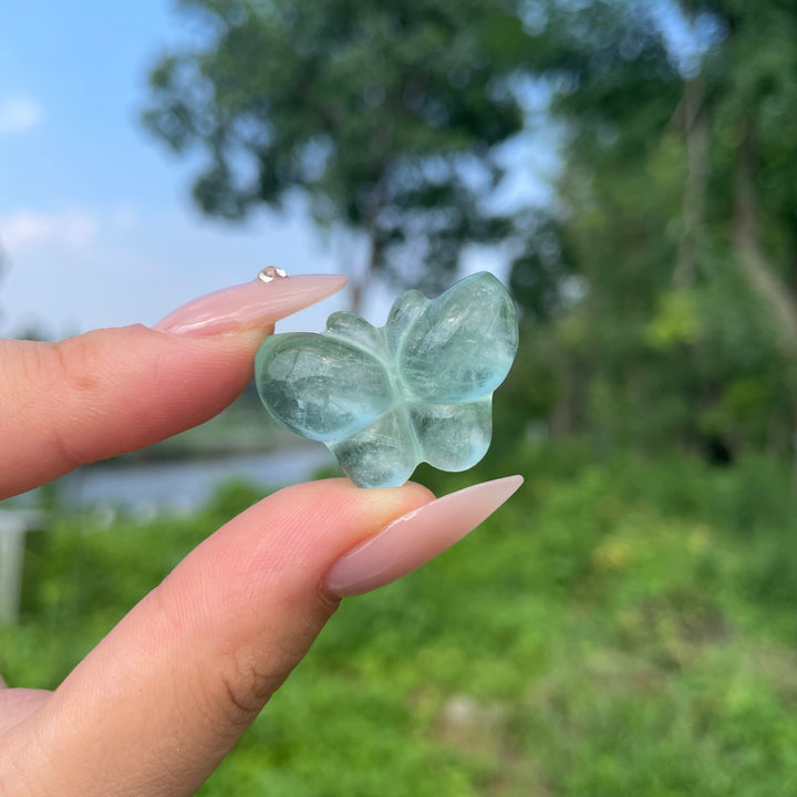 Natural Crystal Fluorite Mini Butterfly Carving