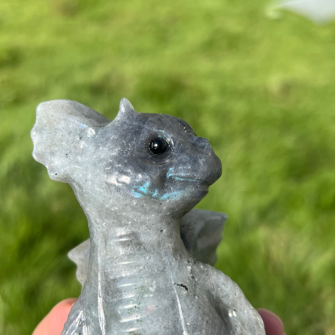 Natural Labradorite Dragon