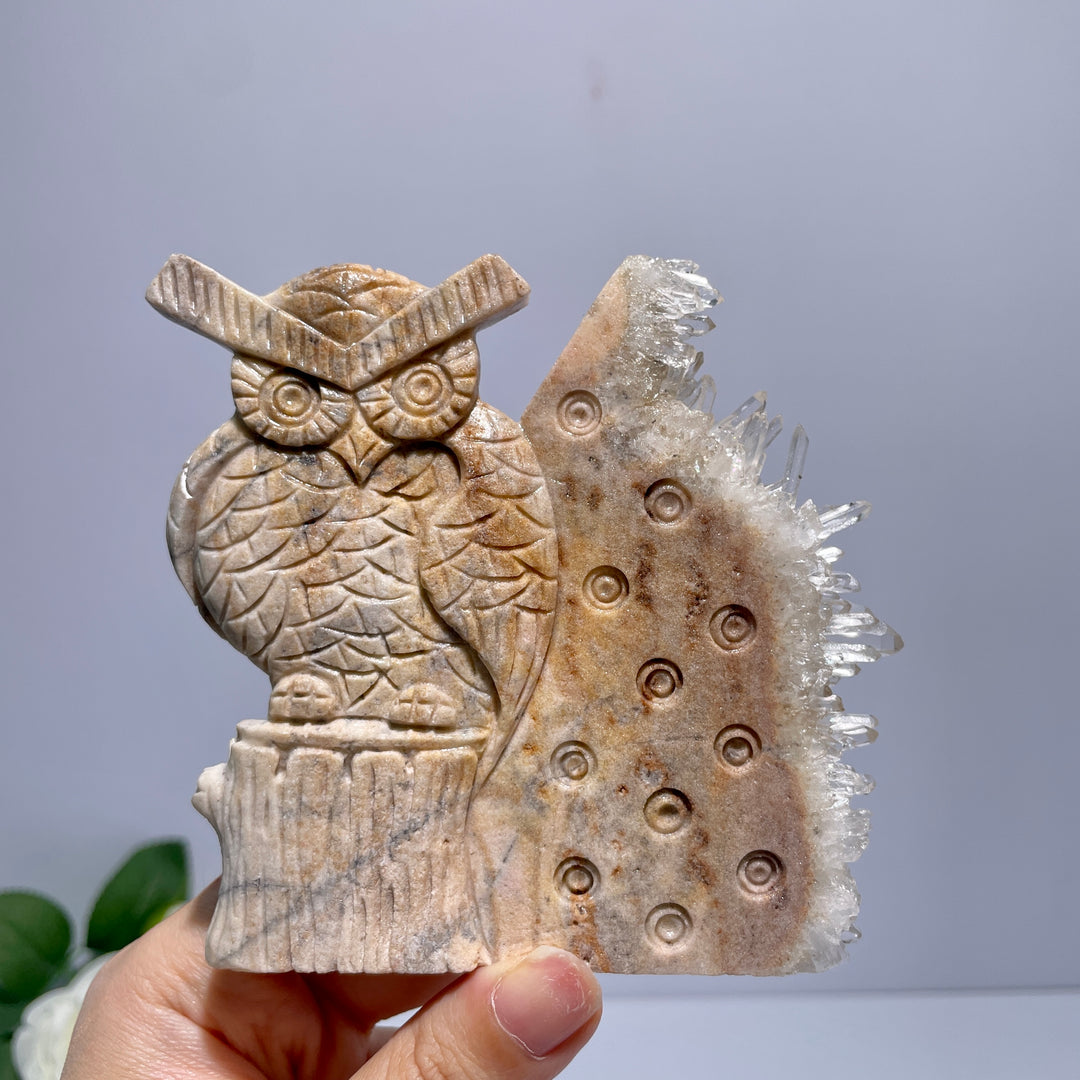 Unique White Crystal Cluster Owl