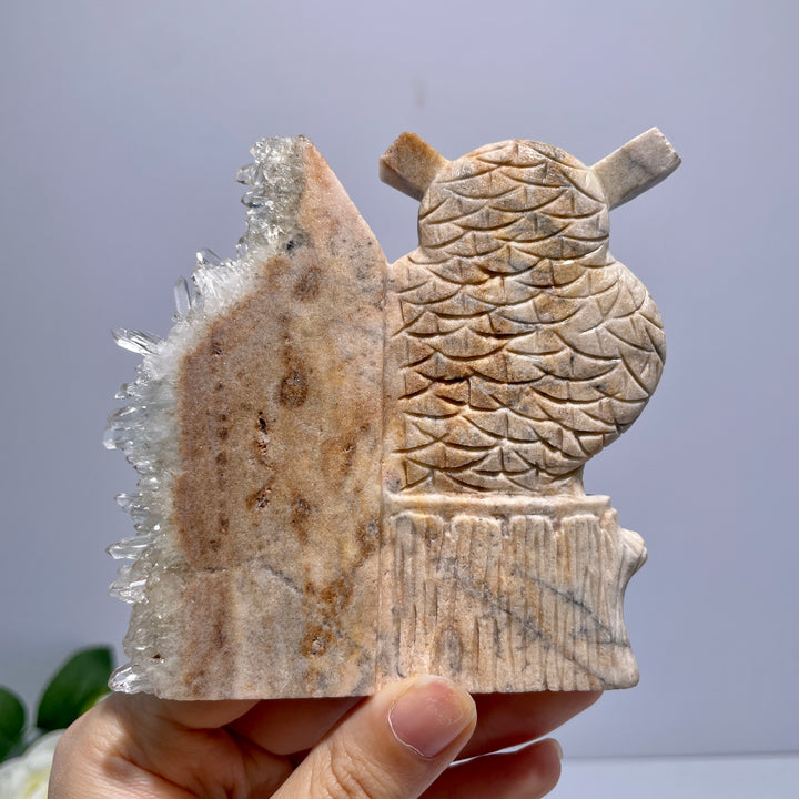 Unique White Crystal Cluster Owl