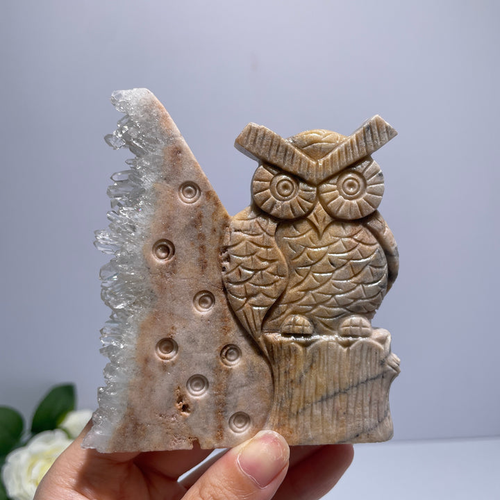 Unique White Crystal Cluster Owl