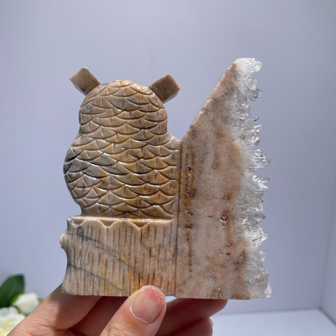 Unique White Crystal Cluster Owl