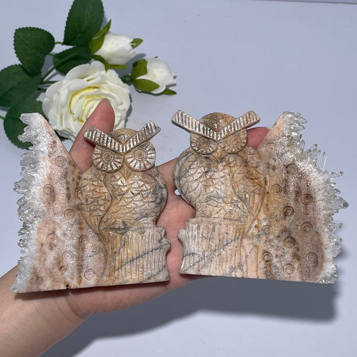 Unique White Crystal Cluster Owl