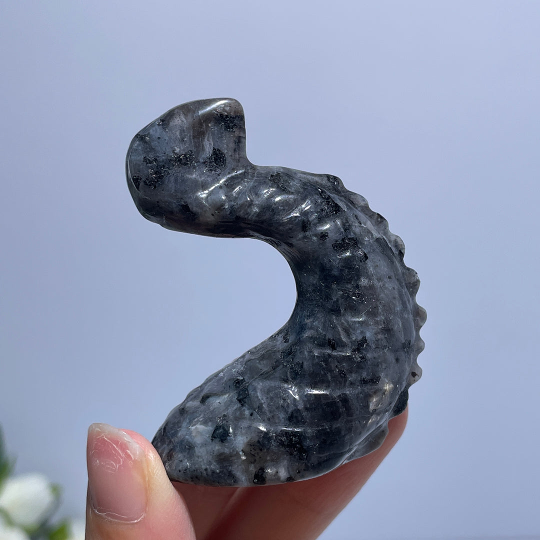 Larvikite Trident Dragon