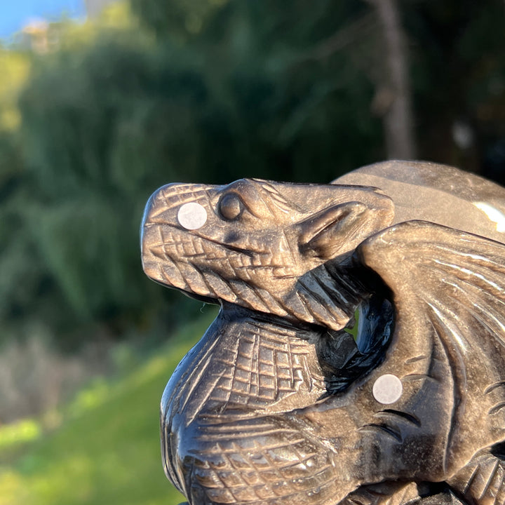 Unique Silver Obsidian Dragon Carving