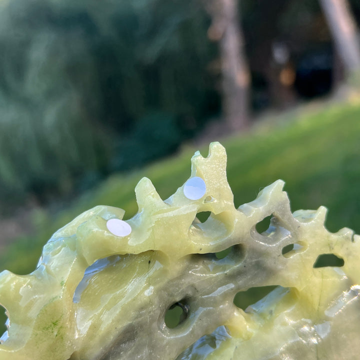 Unique Serpentine Pumpkin Tree Carving