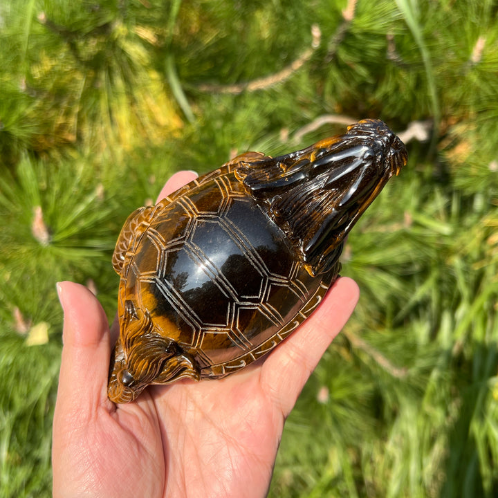 Natural Tiger Eye Carving Dragon Turtle