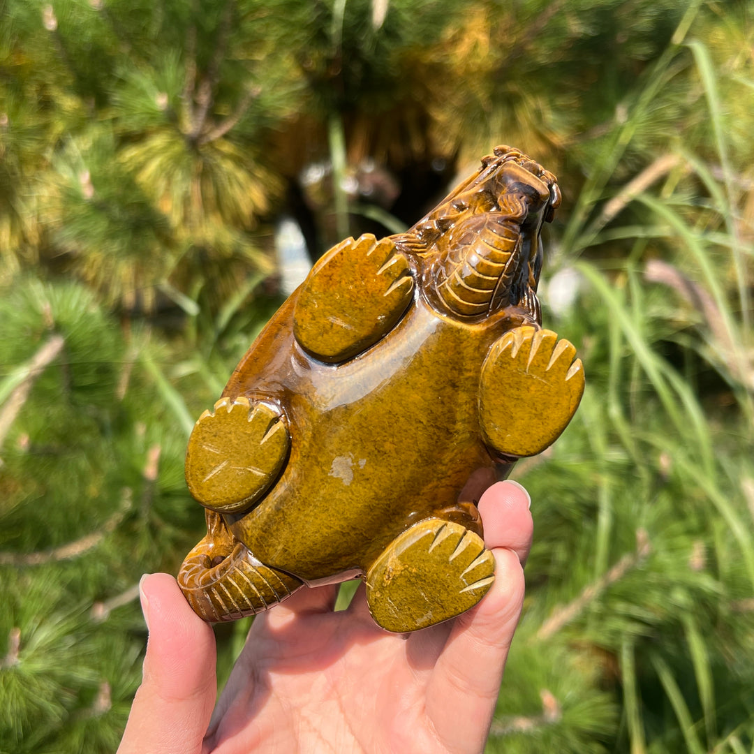 Natural Tiger Eye Carving Dragon Turtle