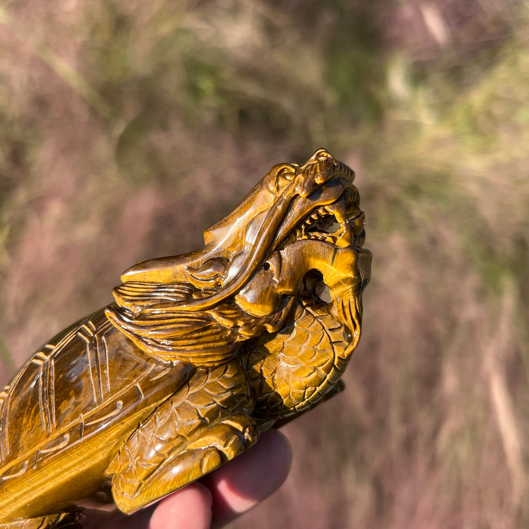 Natural Tiger Eye Carving Dragon Turtle