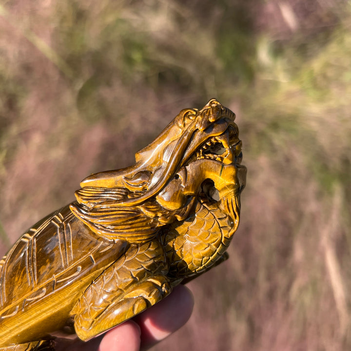 Natural Tiger Eye Carving Dragon Turtle