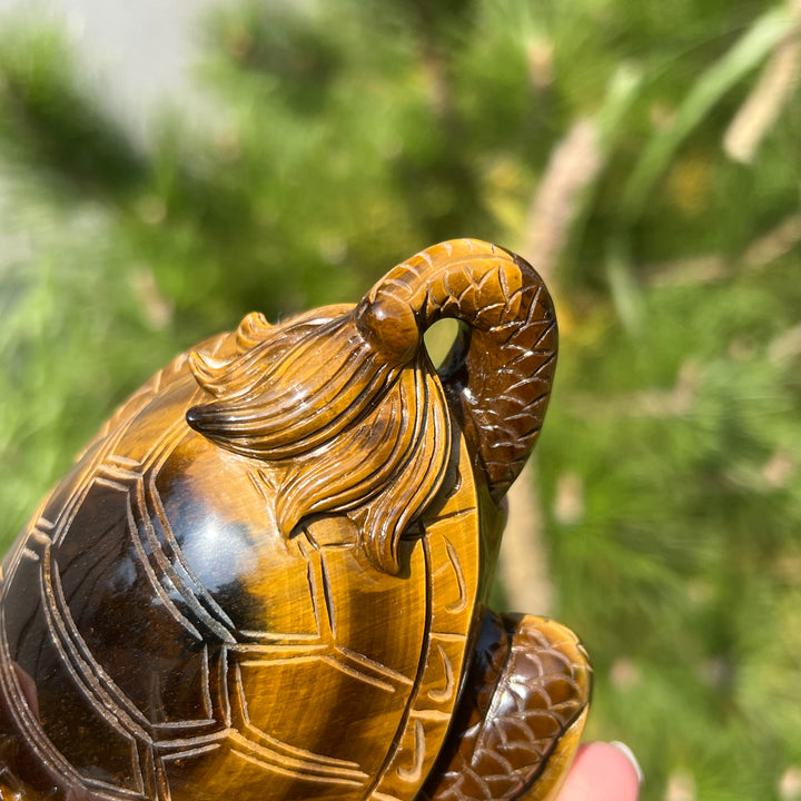 Natural Tiger Eye Carving Dragon Turtle