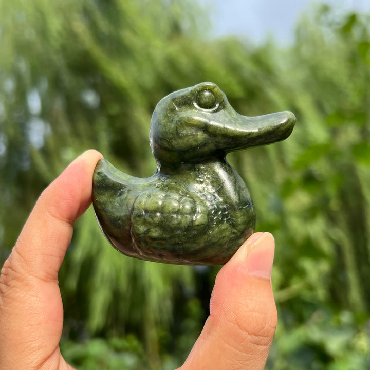 Serpentine Crocodile Duck