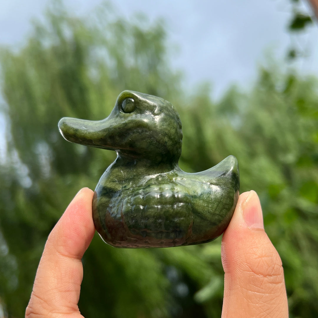 Serpentine Crocodile Duck