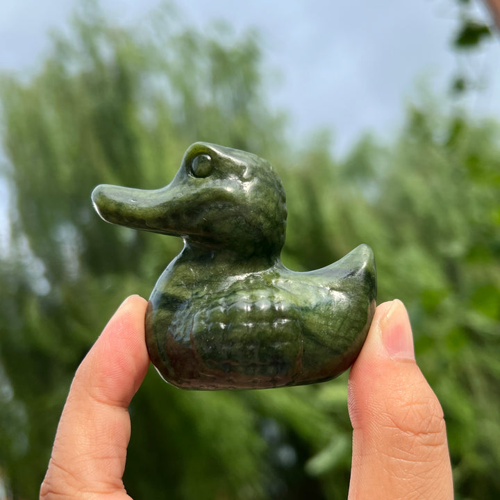Serpentine Crocodile Duck