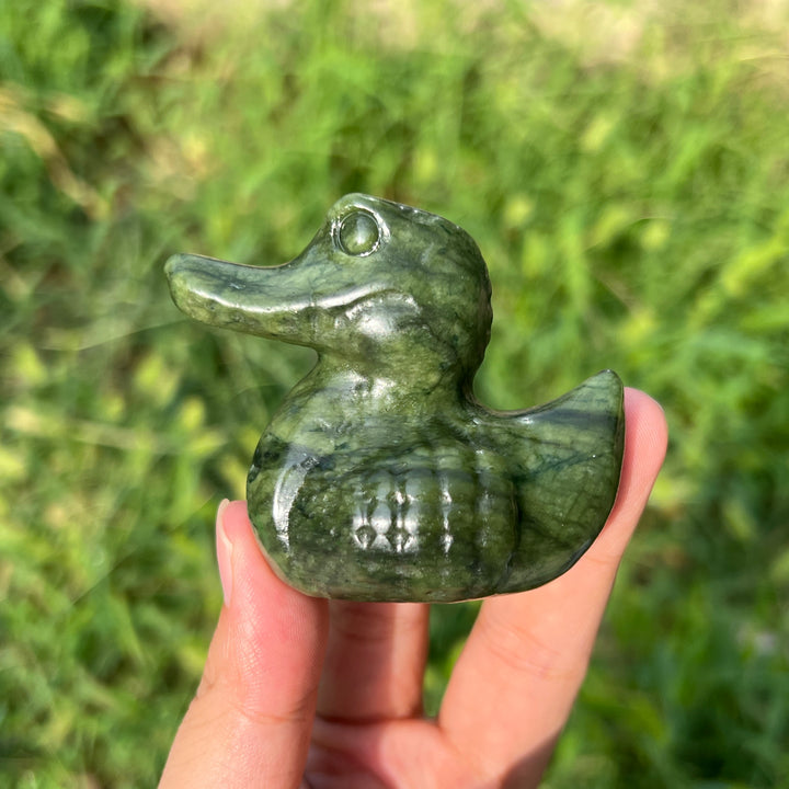 Serpentine Crocodile Duck