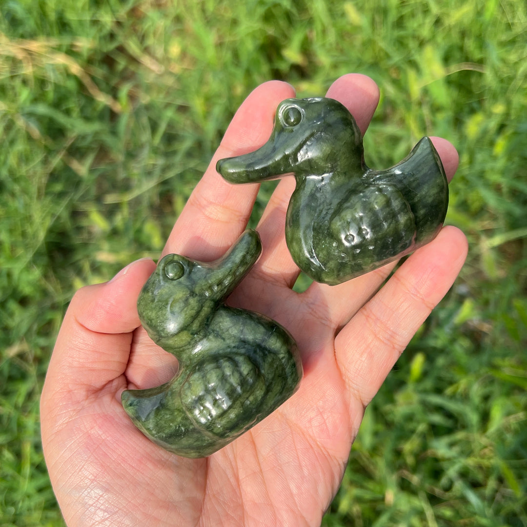 Serpentine Crocodile Duck