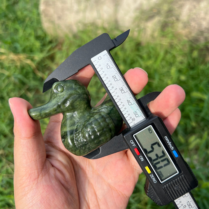 Serpentine Crocodile Duck
