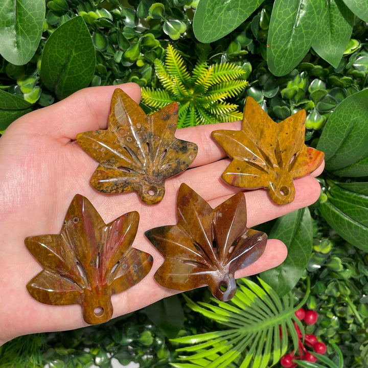 Ocean Jasper Maple leaves