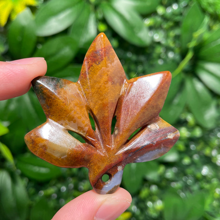 Ocean Jasper Maple leaves