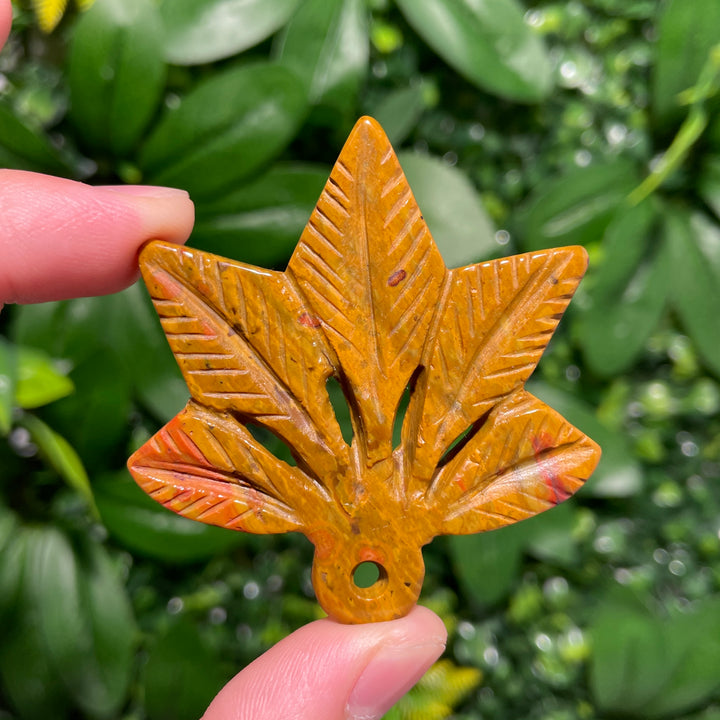 Ocean Jasper Maple leaves