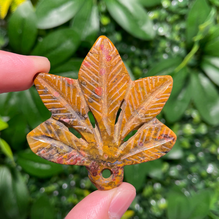 Ocean Jasper Maple leaves