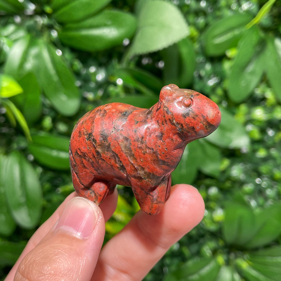 Capibara Carving