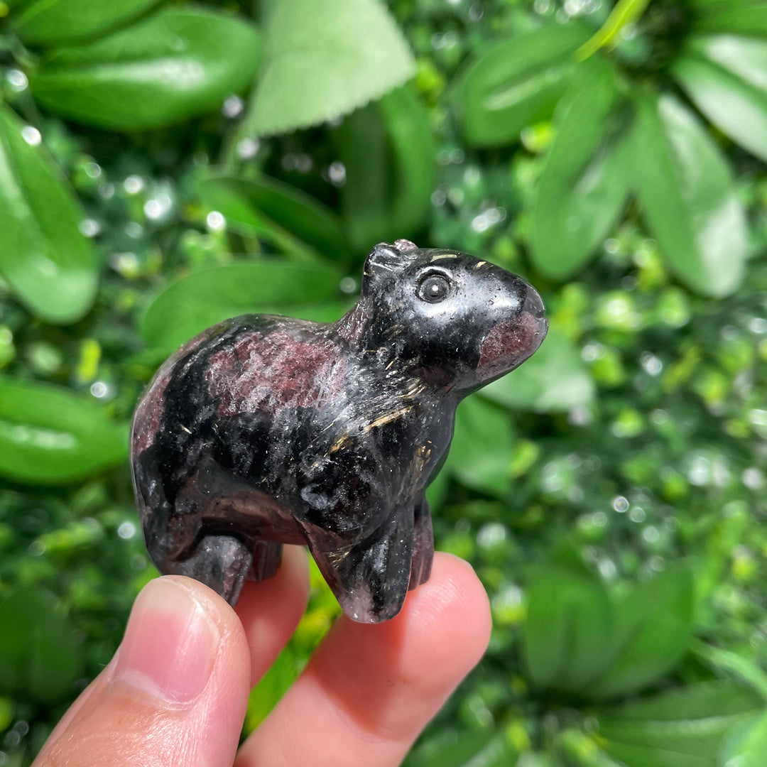 Capibara Carving