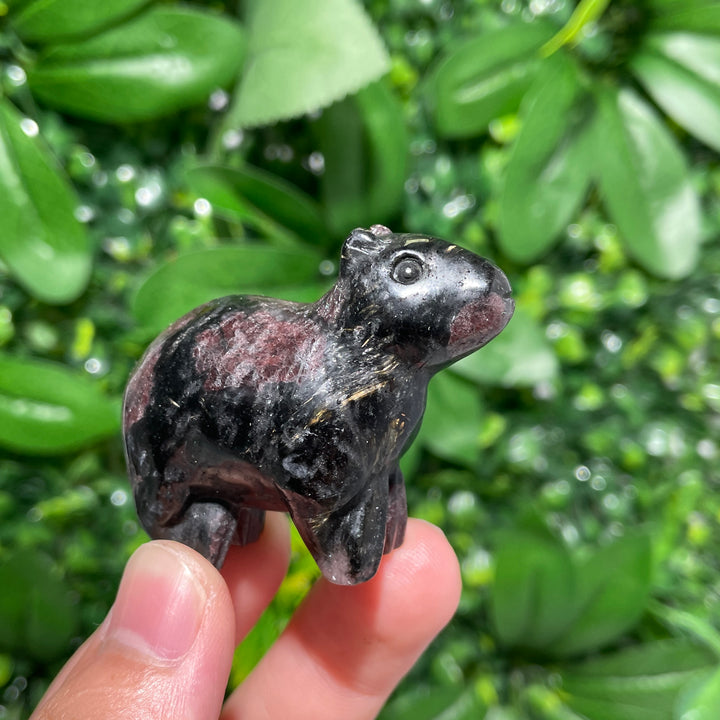 Capibara Carving