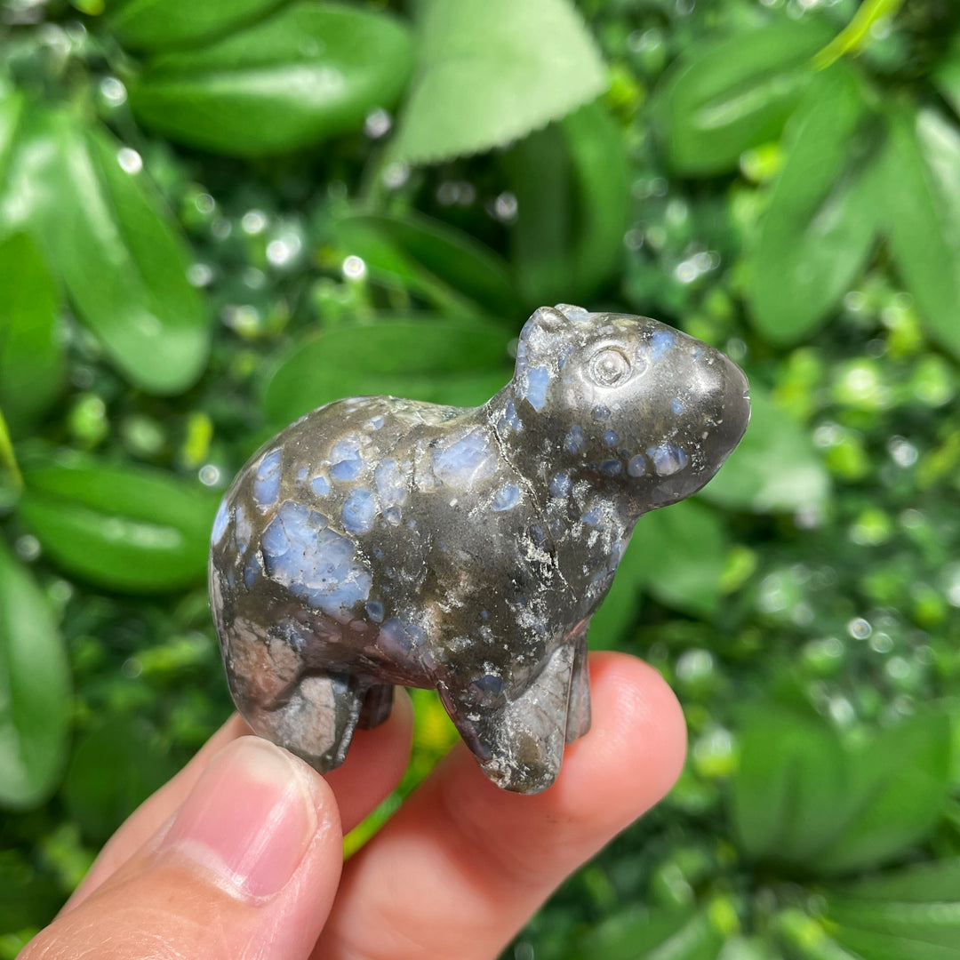 Capibara Carving