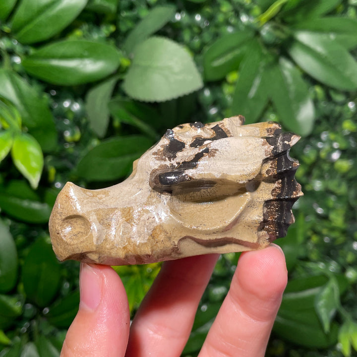 Picture Jasper Dragon Skull