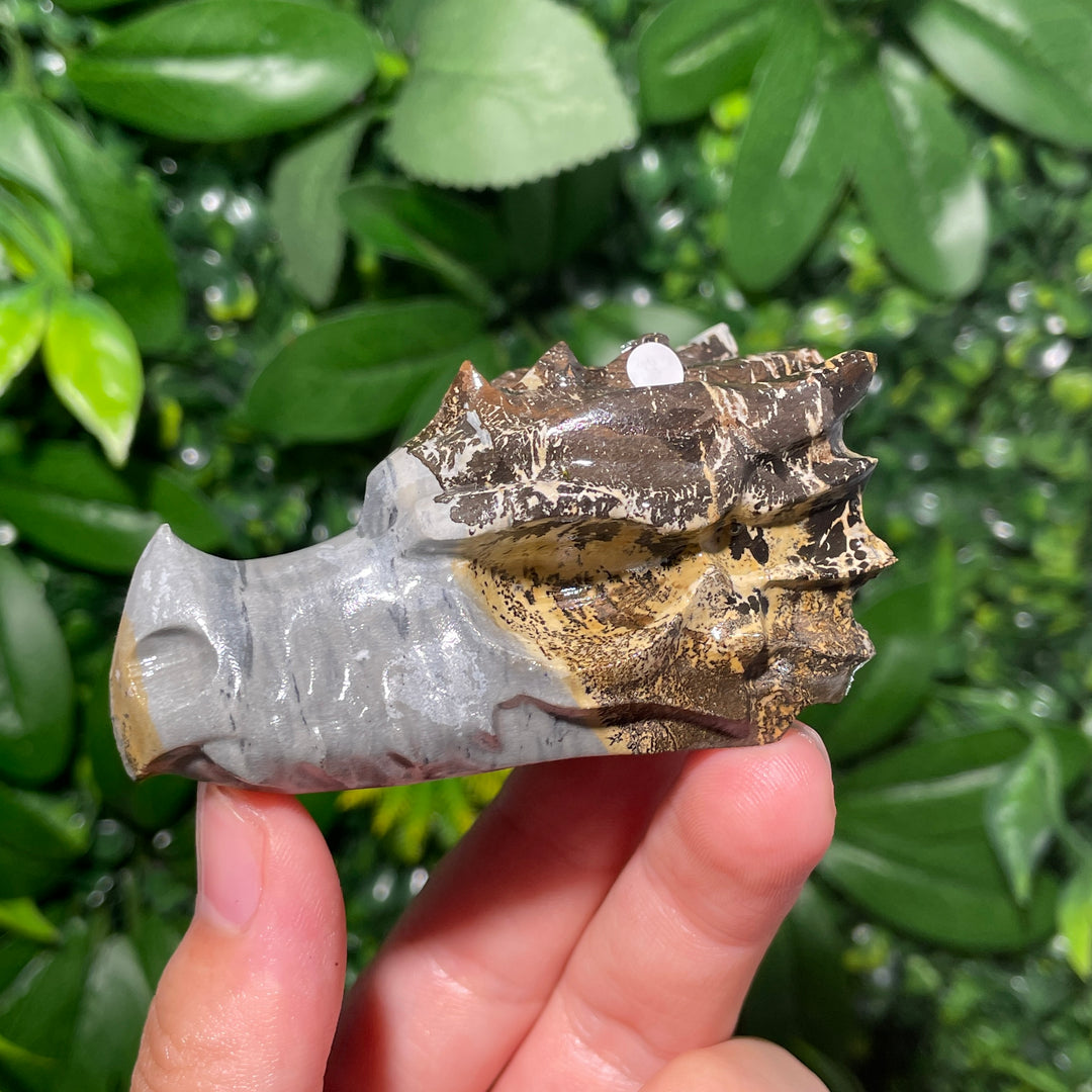 Picture Jasper Dragon Skull
