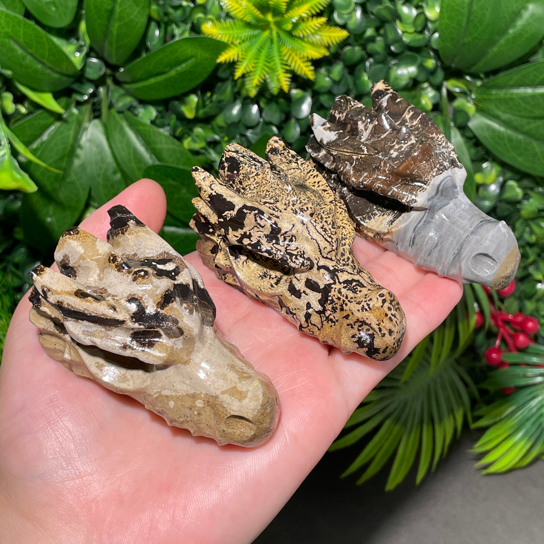 Picture Jasper Dragon Skull