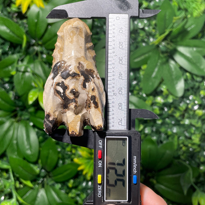 Picture Jasper Dragon Skull