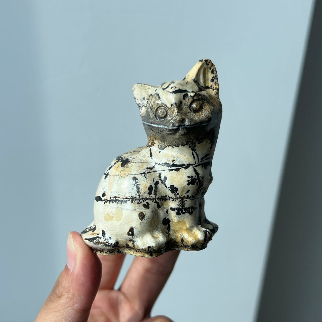 Picture Jasper Cat