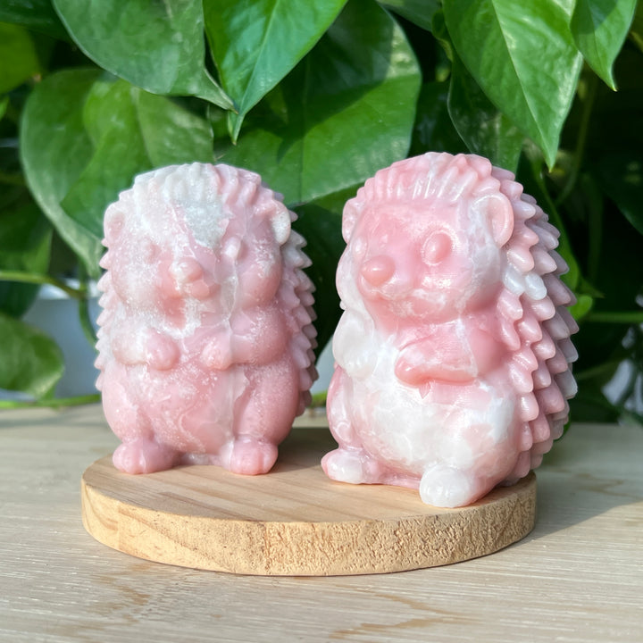 Pink Opal Hedgehog