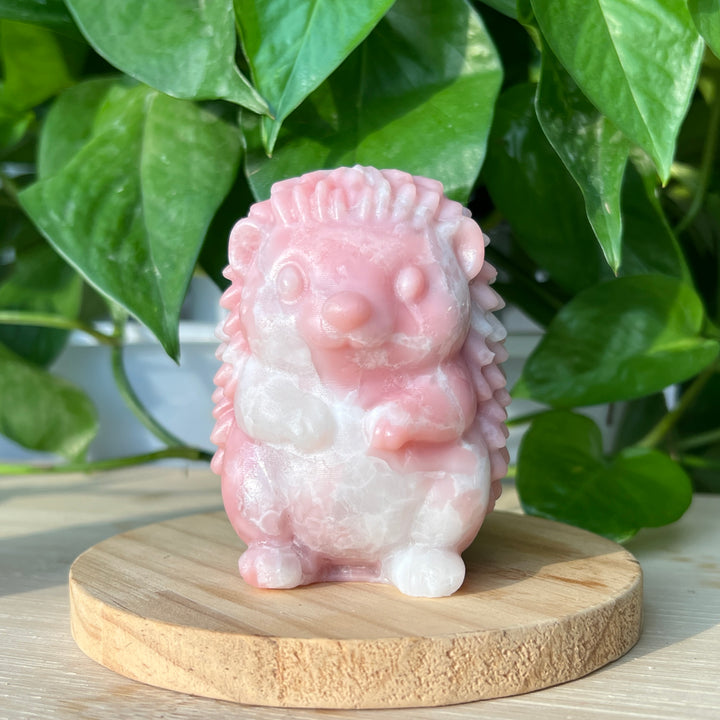 Pink Opal Hedgehog