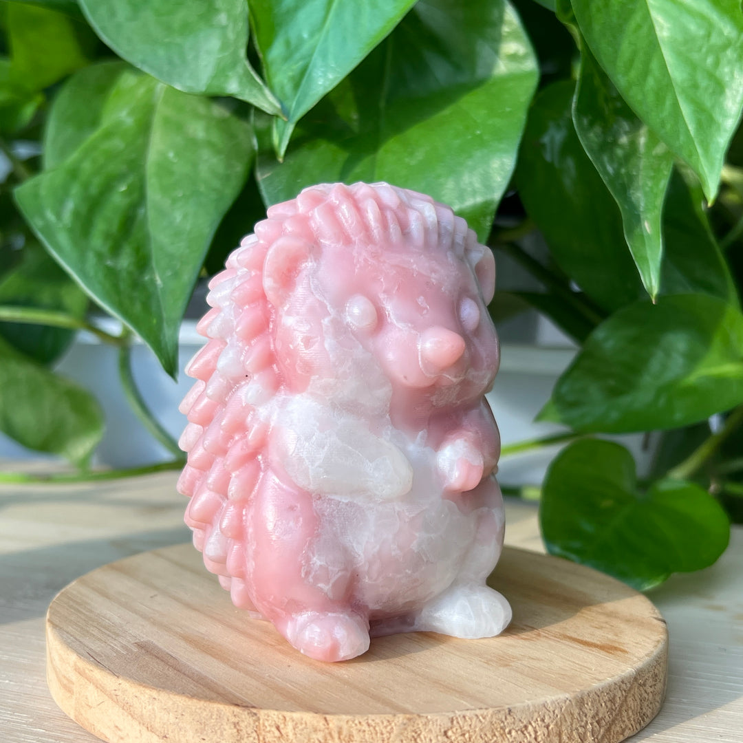 Pink Opal Hedgehog