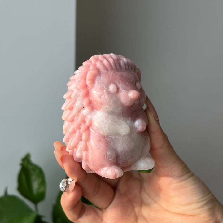 Pink Opal Hedgehog