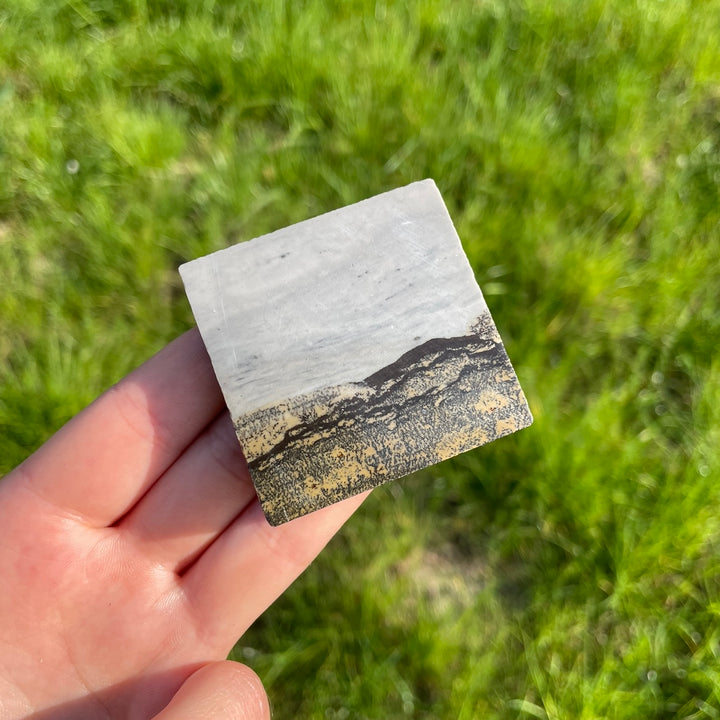Natural Picture Jasper Square Slice