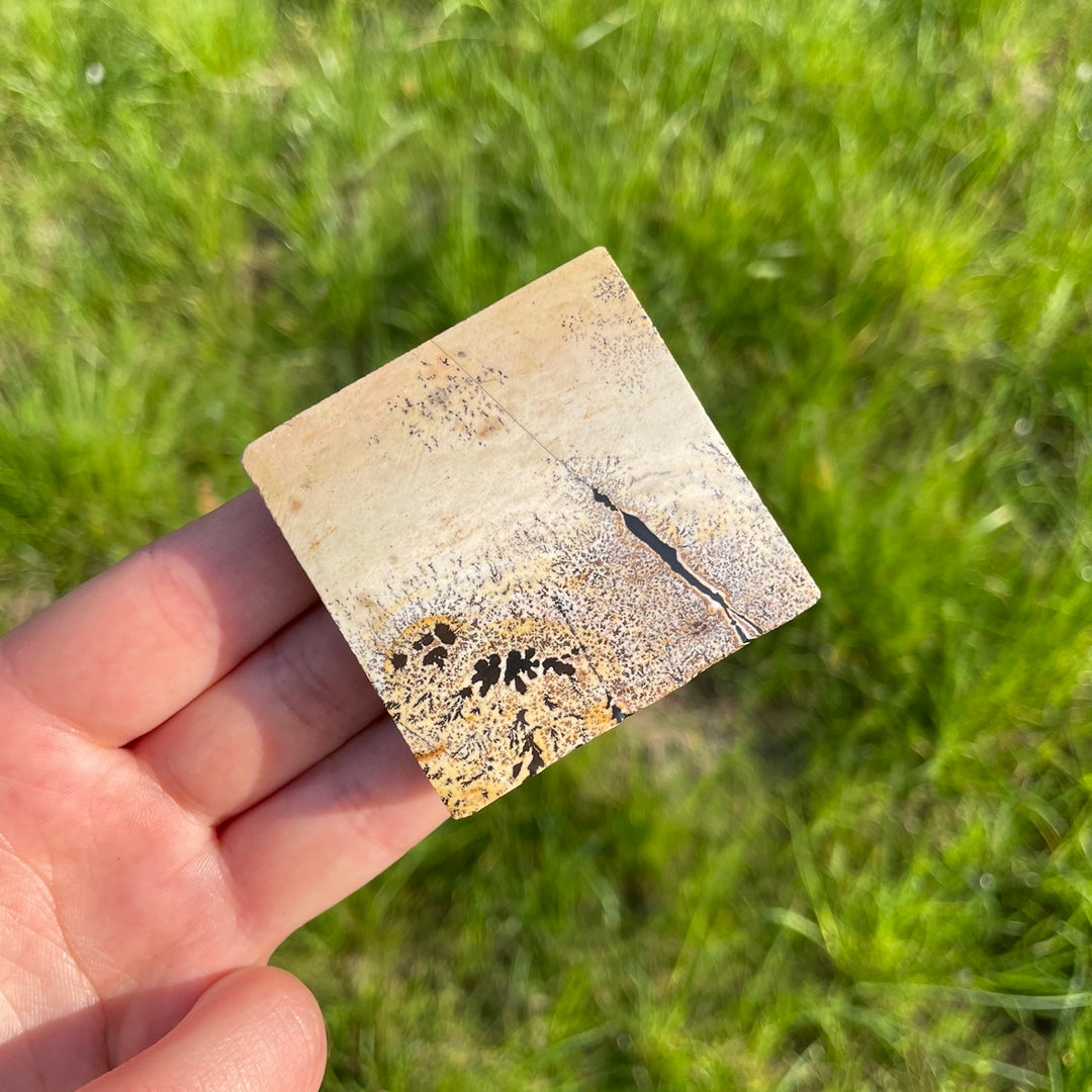 Natural Picture Jasper Square Slice