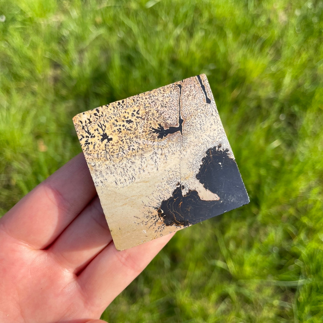 Natural Picture Jasper Square Slice