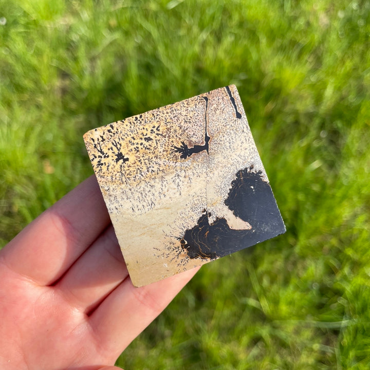 Natural Picture Jasper Square Slice