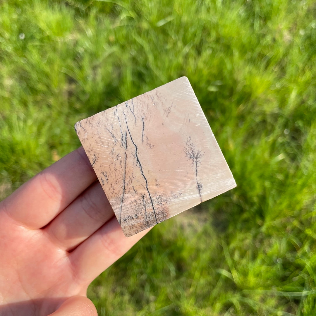 Natural Picture Jasper Square Slice
