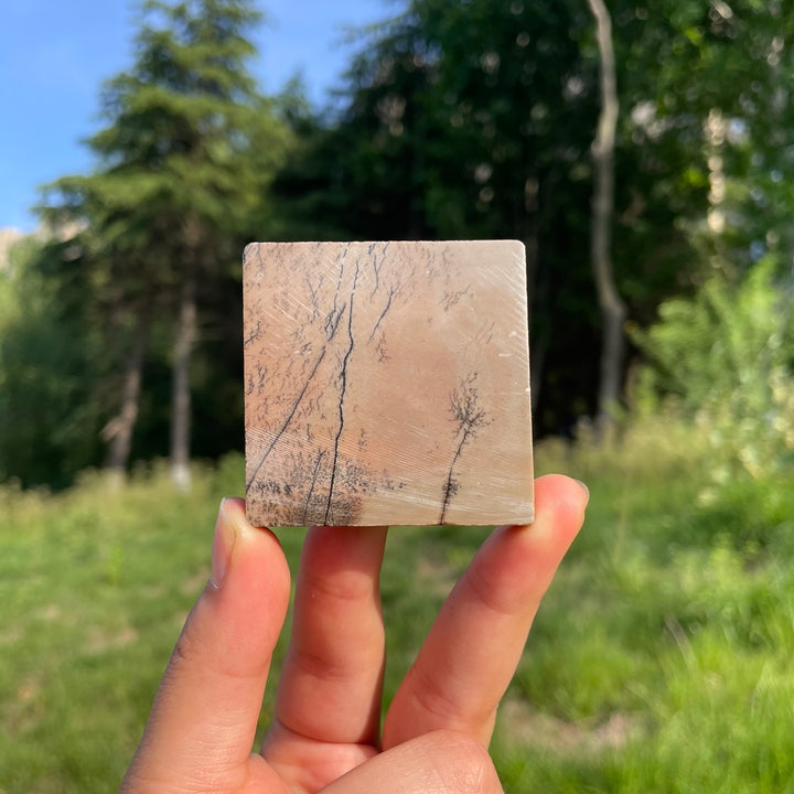 Natural Picture Jasper Square Slice