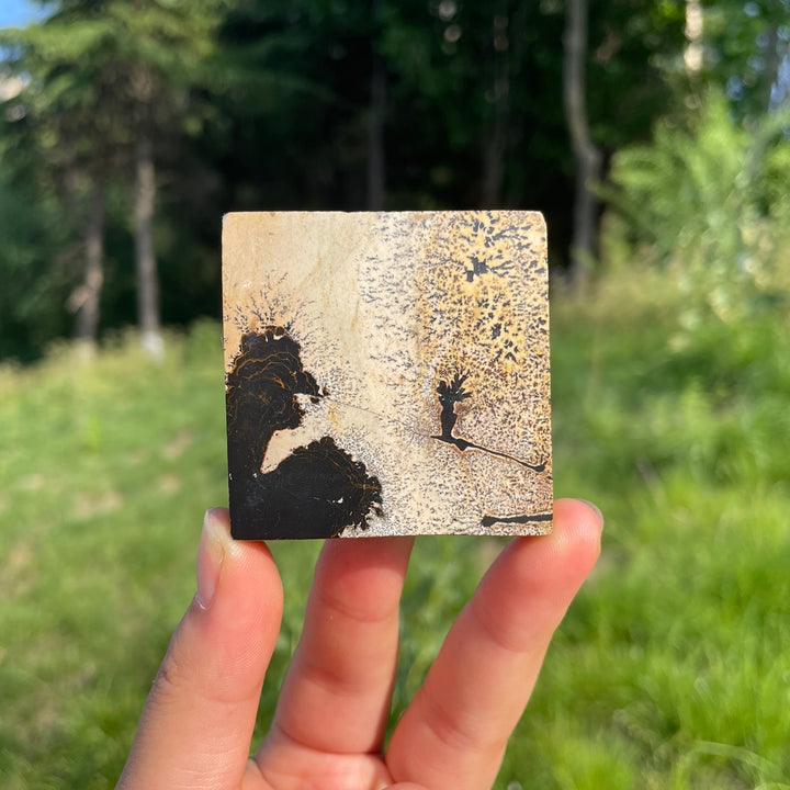 Natural Picture Jasper Square Slice