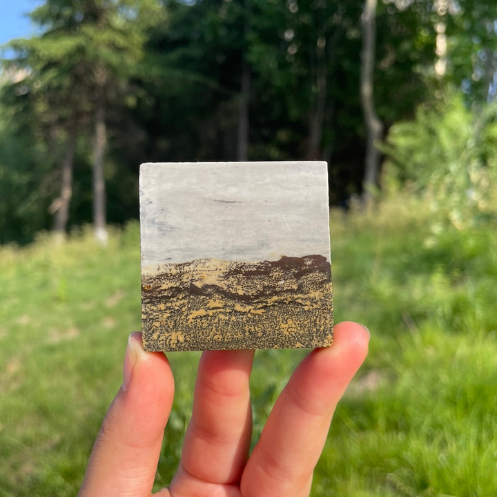 Natural Picture Jasper Square Slice