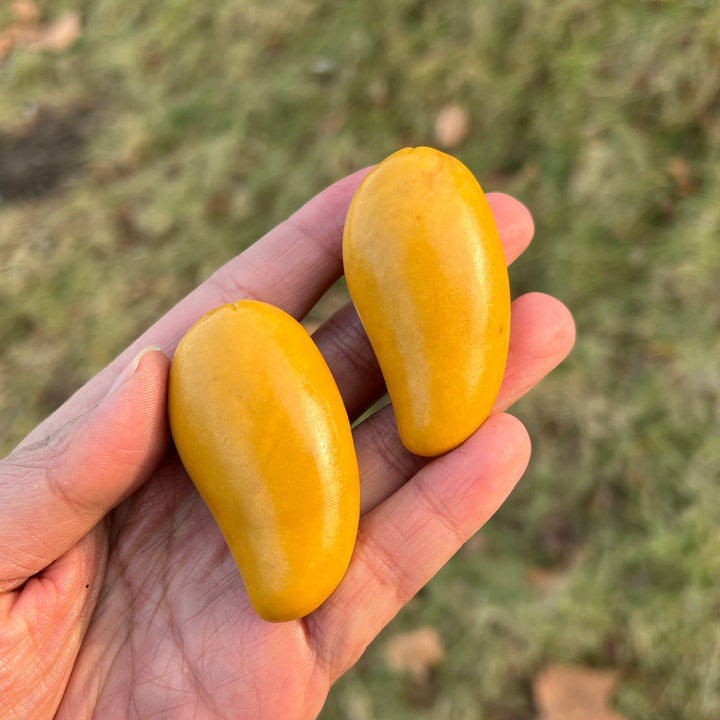 Natural Crystal Food And Fruit Model Mango Carving