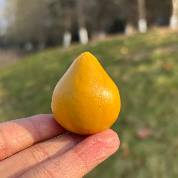 Natural Crystal Food And Fruit Model Pomelo Carving