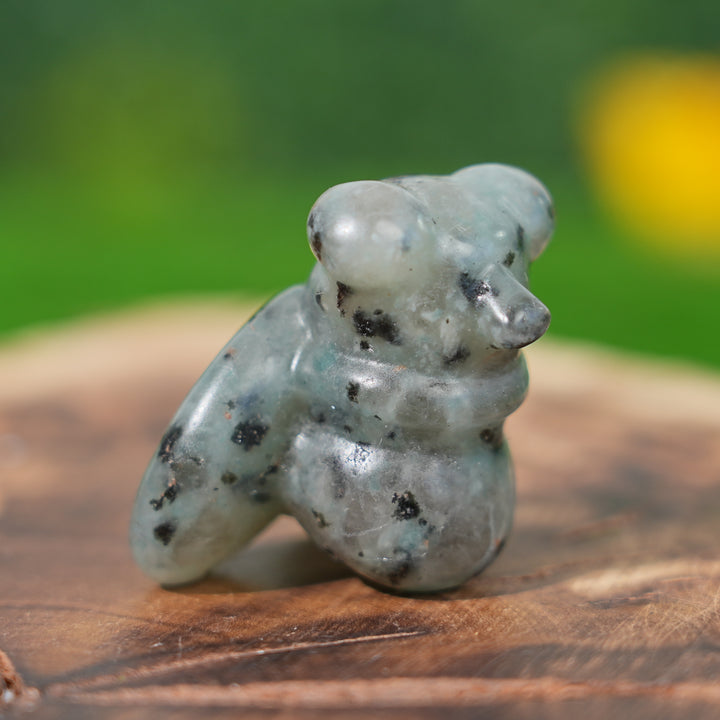 Natural Crystal Carving Housefly